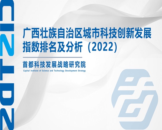 大黑逼操大鸡巴视频免费观看【成果发布】广西壮族自治区城市科技创新发展指数排名及分析（2022）